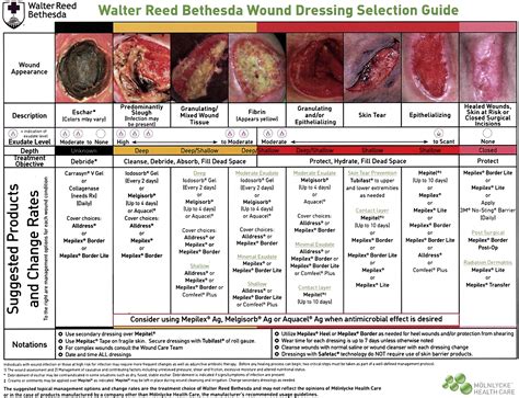 Wound Identification And Dressing Selection Chart Department Of My