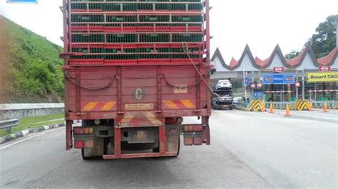 Susunlah kalimat singkat dan jelas, padat dan bermakna. Pemandu 'lalok' rempuh SJR