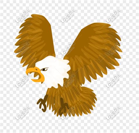 Osprey) merupakan sejenis burung pemangsa besar berhijrah. 20+ Gambar Burung Helang Kartun - Gambar Kartun Mu