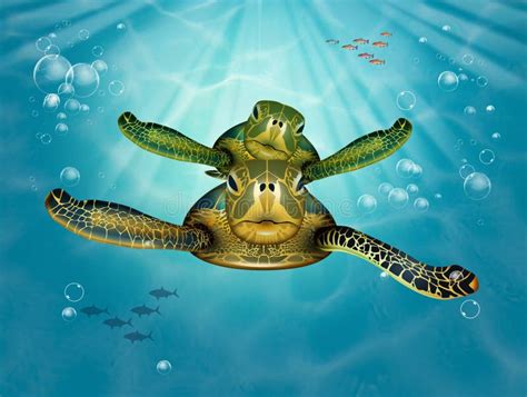 Illustration Of Sea Turtles Stock Illustration Illustration Of