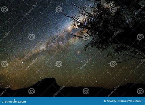 Milky Way Tree Stock Photo Image Of Beautiful Landscape 43596924