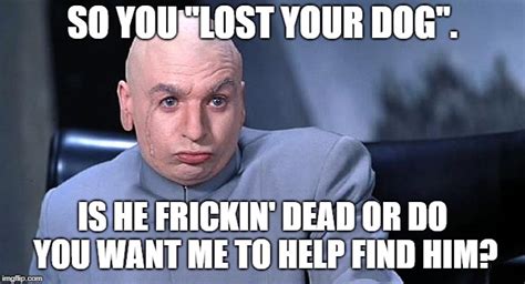 Lost Your Dog Imgflip