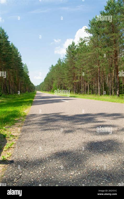 Forest Road Trees Along At The Countryside In Belarus Stock Photo Alamy
