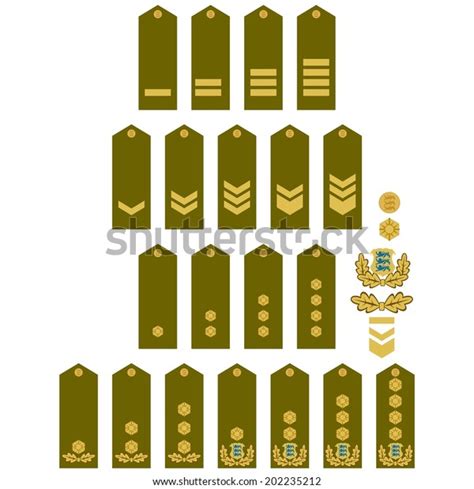 Military Ranks And Insignia Of The World Illustration On White Background