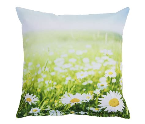 Unsere kissen bieten das gewisse extra, um den sitzkomfort auf ihren gartenmöbeln zu maximieren. Outdoor Kissen Gänseblümchen Weiß Gartenkissen Blume ...