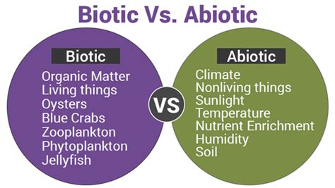 Biotic And Abiotic Importance Of Biotic And Abiotic Factors