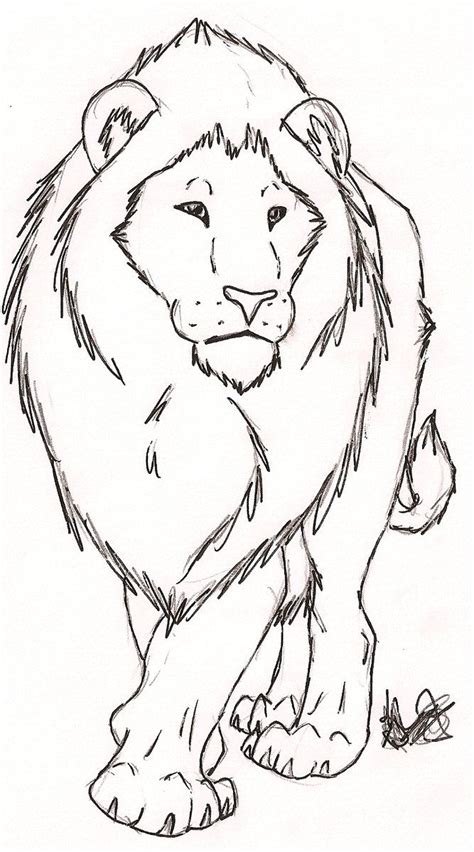 21 One Line Drawing Lion Juanmusfirah