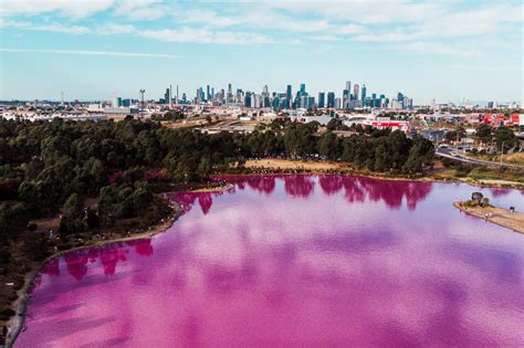 A 2020 Guide To Melbournes Pink Lake — Collecting Other Places