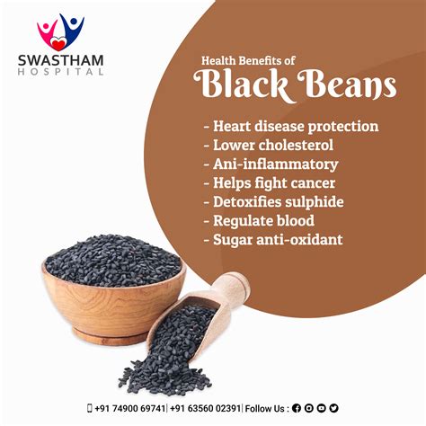 black beans in 2023 fruit health benefits vegetable benefits black beans benefits