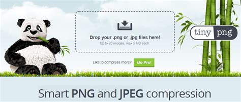 8 Best Image Optimization Tool You Should Know How to compress an image?