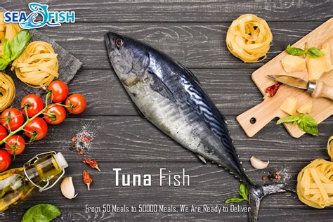 Premium Tuna Fish | টুনা মাছ | Size 2-3kg