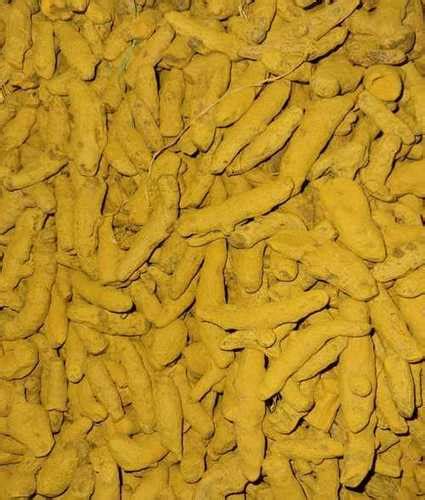 Yellow Dried Turmeric Fingers At Best Price In Navi Mumbai Rajesh