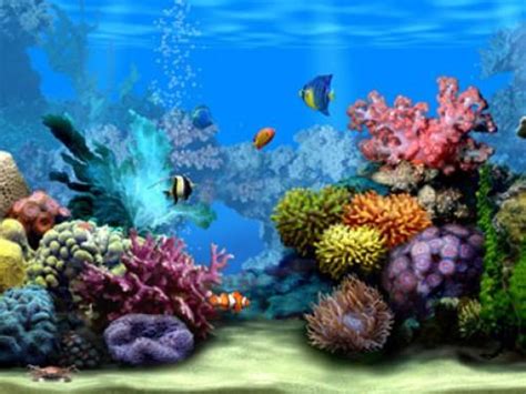 Free Download Exotic Aquarium 3d Screensaver Download Aquarium