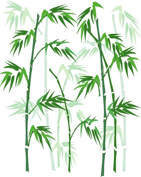 Bamboo - Vector Hand-painted bamboo png download - 821*1032 - Free Transparent Bamboo png ...