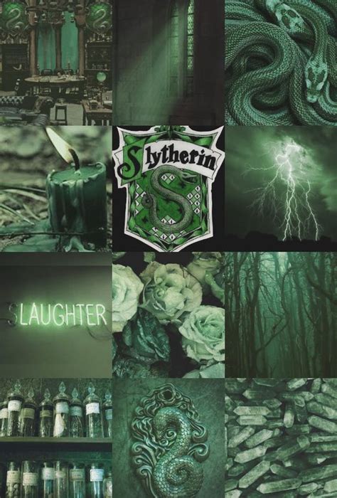 Pin By Nike Lavelle On Slytherin In 2019 Slytherin Harry Potter
