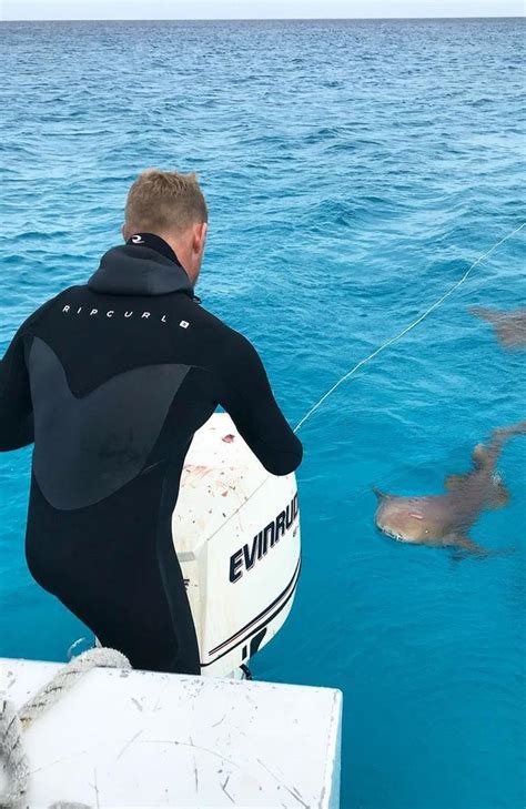 surfer mick fanning reveals story behind his new documentary save this shark gold coast bulletin