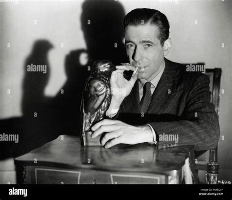 Humphrey Bogart The Maltese Falcon 1941 Warner Bros File Reference 32914 970tha Stock