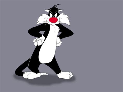 Sylvester Wallpapers Wallpaper Cave