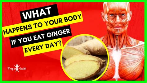 What Happens To Your Body If You Eat Ginger Every Day YouTube