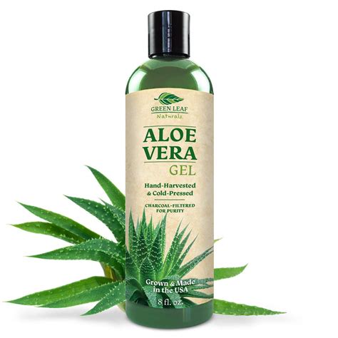 Aloe vera has 75 nutrients, including 20 minerals, 18 amino acids, and 12 vitamins. Pure Aloe Vera Gel from Fresh Cut Aloe Leaves for Natural ...
