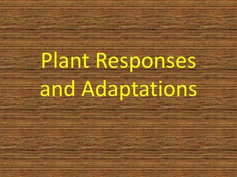 Ppt Plant Responses And Adaptations Powerpoint Presentation Free