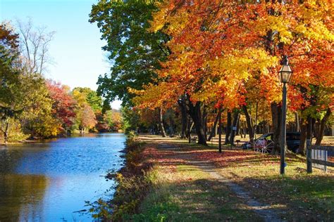 10 Spots To View Picturesque Fall Foliage Near Philly Phillyvoice