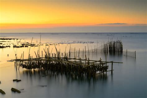 Theyve been in there for at least 3 days now.as long as they aren't moldy and i don't mind the toughness they are ok right? Oysters: love or loathe them, they are good for you - The ...