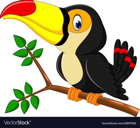 Cartoon Happy Bird Toucan Royalty Free Vector Image