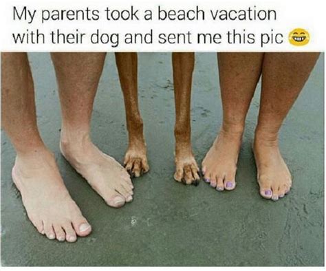 32 Funny Memes For Vacation Factory Memes