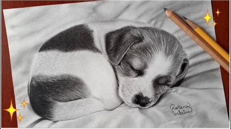 Dibujando Un Cachorro Con Lápices De Grafito ♥ Dibujos De Perros