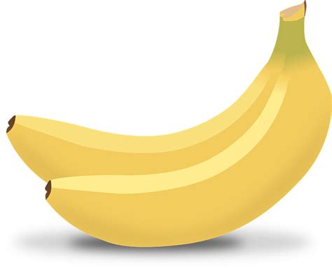 What is the scientific name of a banana? Who are the banana babies? - Gluten-Free Living magazine