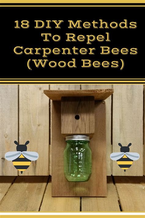 18 Ways To Get Rid Of Carpenter Bees How To Control Wood Bees Wood