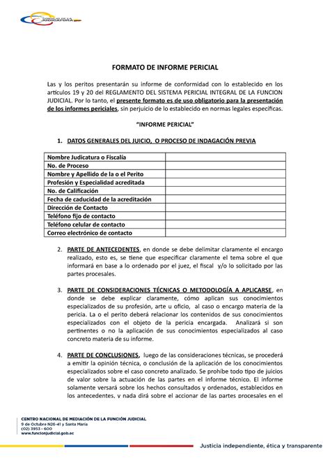 Informe Pericial Modelo Pdf Hot Sex Picture
