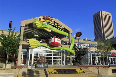 14 Things To Do In Baltimores Inner Harbor