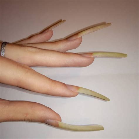 Pin By Donaldwyan On Nails Long Natural Nails Curved Nails Womens Nails