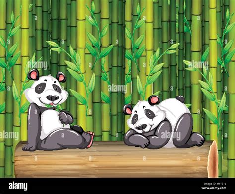 Two Panda Bears In Bamboo Forest Illustration Stock Vector Image And Art