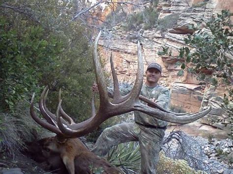 The Top 5 Elk Units In Arizona Outdoors International
