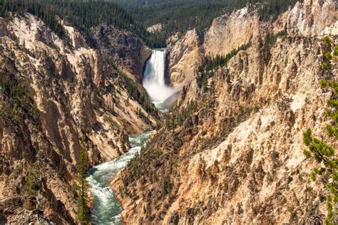 18 Yellowstone National Park Facts You Probably Didnt Know