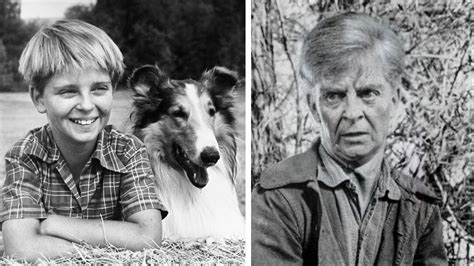 What Really Happened To Tommy Rettig Jeff Miller From Tvs Lassie Youtube