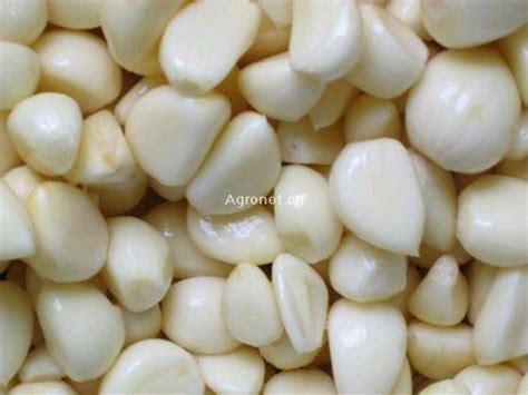 See full list on thewholeportion.com Frozen Garlic,Garlic Segment, Garlic Cloves,Minced Garlic ...