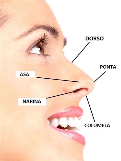 Reconstrução Nasal Dra Mayra Joan