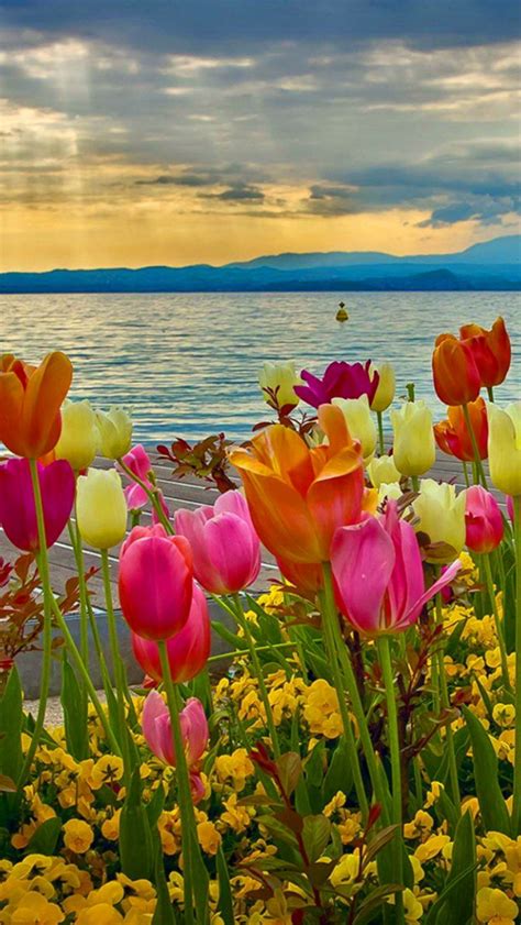 Spring pictures to color for free. Free download Spring Season Wallpapers Wallpapers ...