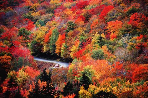 Peak Fall Foliage Will Likely Arrive Late This Year