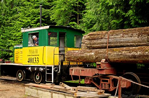 Log Train Bear Foot Creative