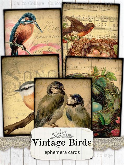Vintage Bird Ephemera Cards Printable Junk Journal Ephemera Etsy