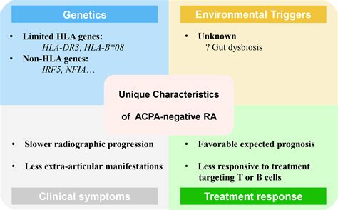 ACPA-negative rheumatoid arthritis: From immune mechanisms to clinical