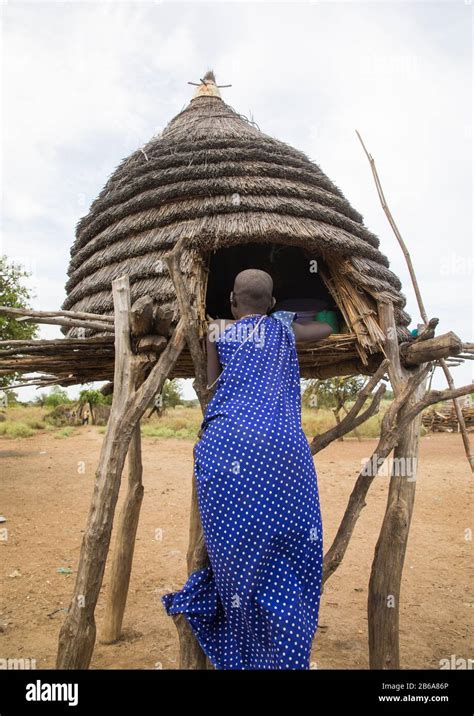 Toposa Tribe Girl Climbing In A Granary In A Village Namorunyang State