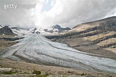 Hiking In Snowbird Pass Trail In Mt Robson Provincial Park 이미지