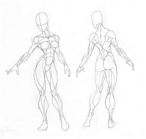 Pin By Marcelo Amp On Anatomy 4 Sculptors How To Draw Muscles