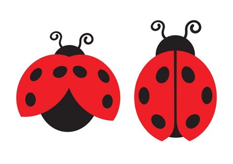 Lady Bugs Vector Art Download Free Vector